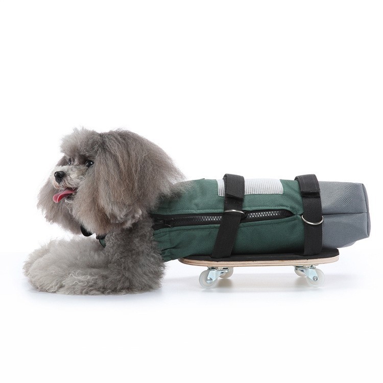 Pet Walking Aid fogyatékkal élő gördeszka